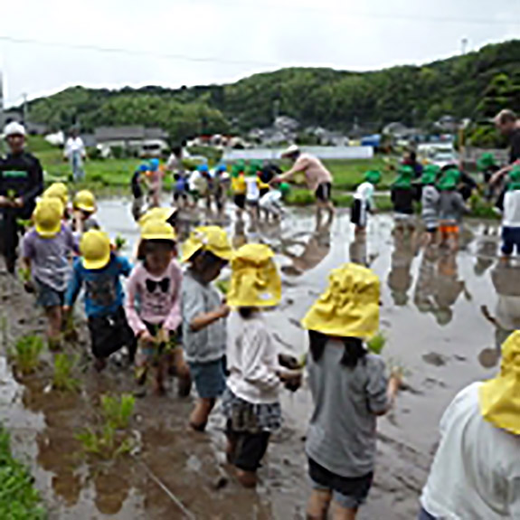 6月25日に田植えを行いました